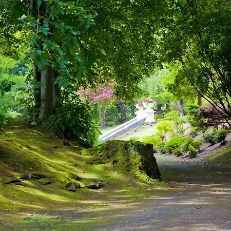 Tinakilly 4* Rathnew