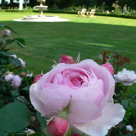 Tinakilly Hotel Rathnew