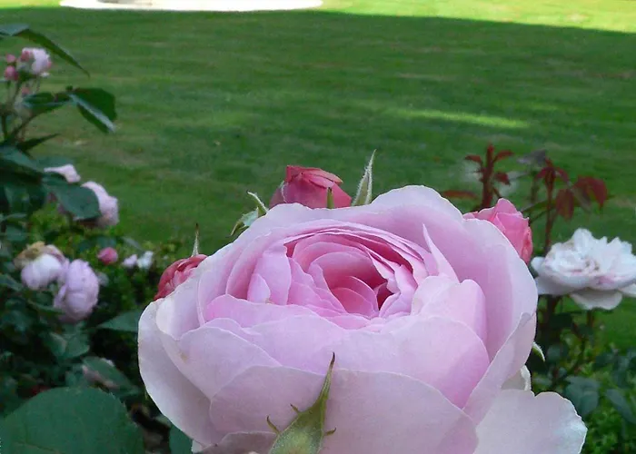 Tinakilly Hotel Rathnew