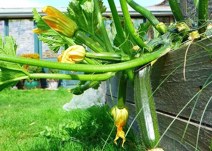 Tinakilly 4* Rathnew